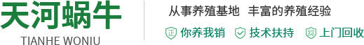 金星線(xiàn)纜有限責(zé)任公司-河南電線(xiàn)電纜廠(chǎng)家-阻燃電纜